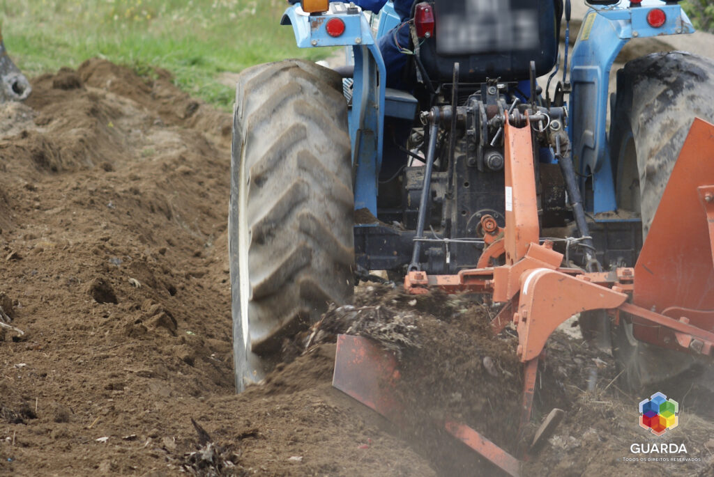 Abertas candidaturas a apoios aos setores agrícola e florestal