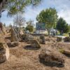 Jardins de Rocha dão a conhecer a geo e a biodiversidade da Serra da Estrela, na Guarda