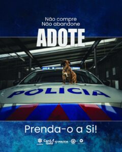 Município da Guarda, PSP e parceiros promovem Campanha de Adoção Responsável