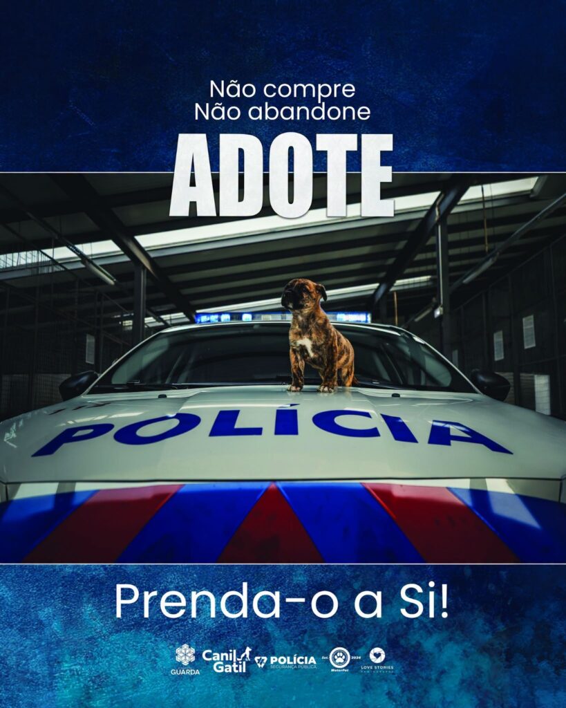 Município da Guarda, PSP e parceiros promovem Campanha de Adoção Responsável
